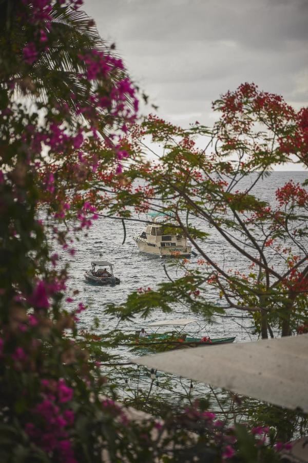ホテル Casitas Maraika プエルトバラータ エクステリア 写真